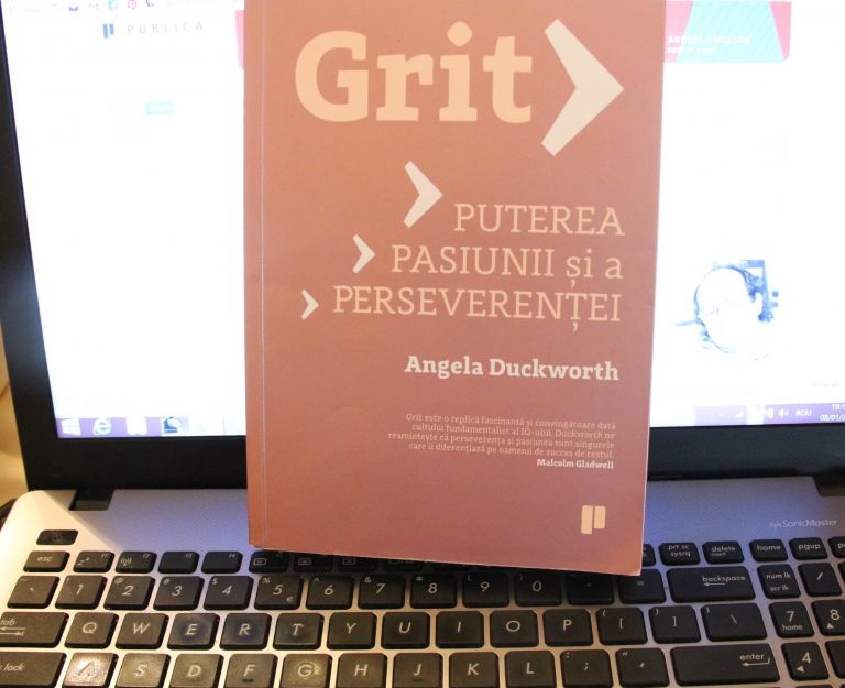 Pasiunea și perseverența (grit), cheia succesului