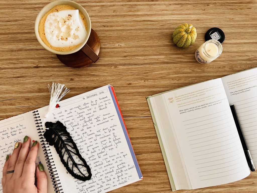 Obiecte de scris din rutina de jurnal a Ancăi Zaharia