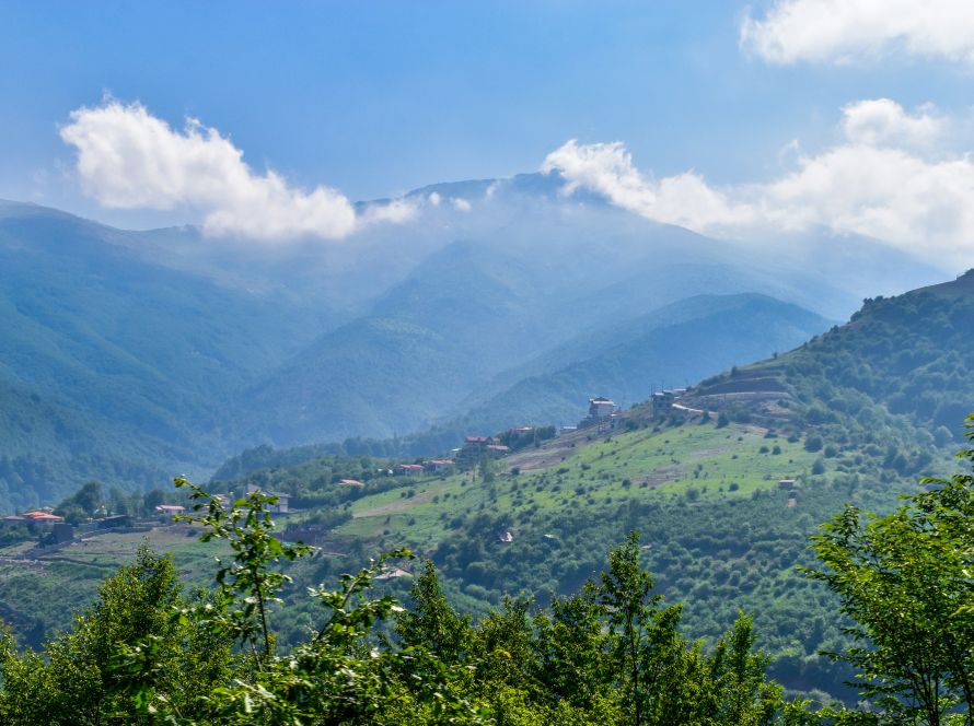 echilibrul și vitalitatea, exact ca suplimentele de longevitate CosmoPharm