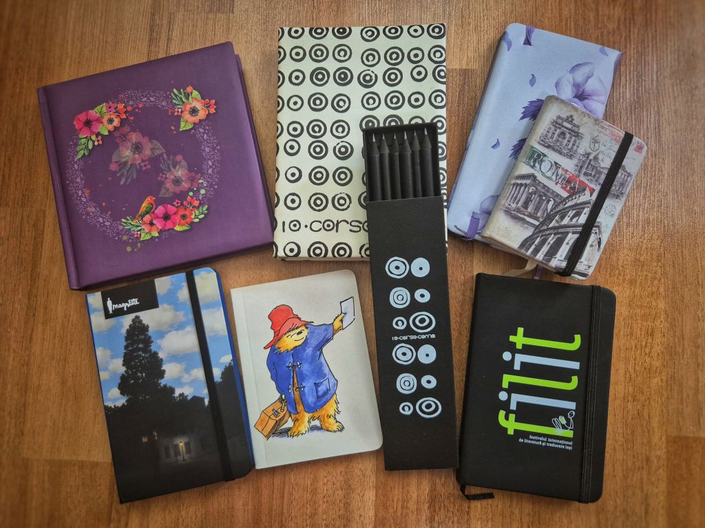 Despre scris cu Anda Docea