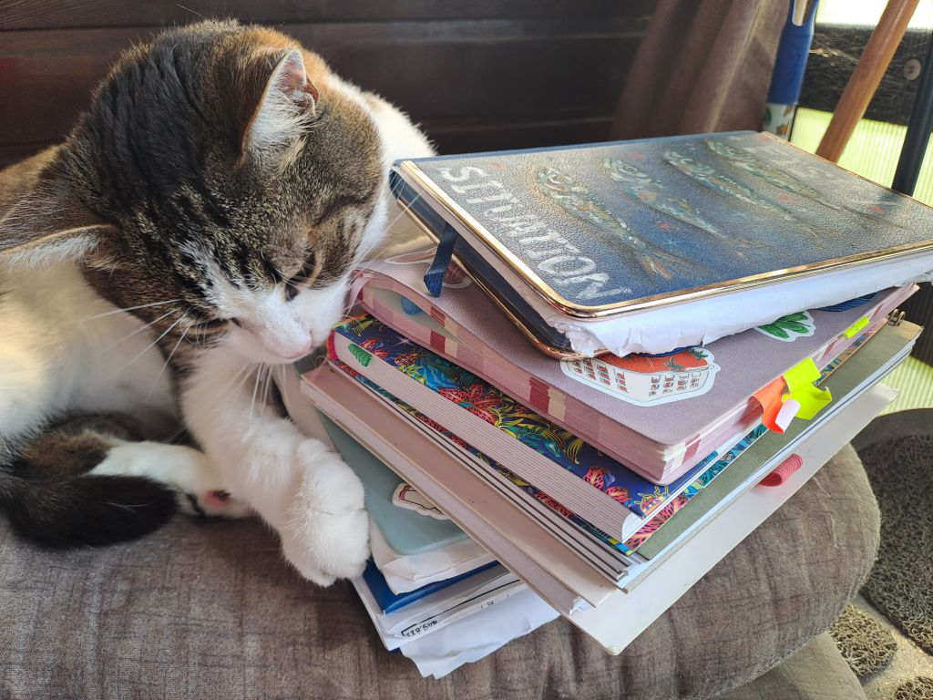 Caietele și jurnalele Roxanei Diochețanu adună schițe, liste și fragmente personale care o însoțesc în procesul creativ