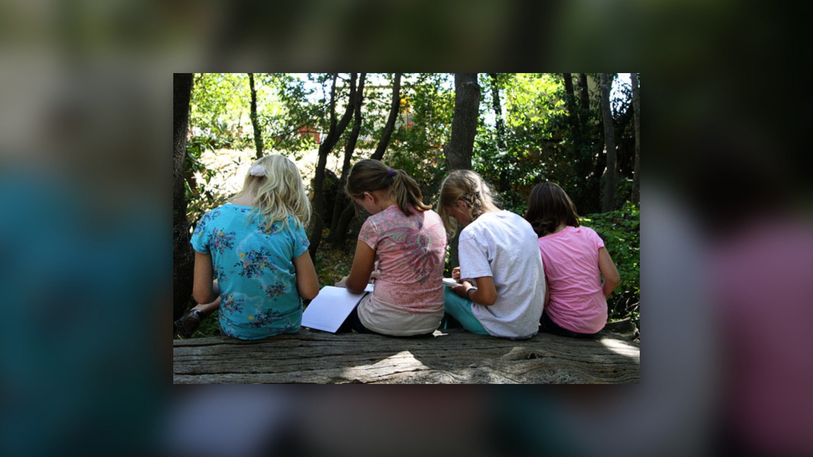 Resurse pe care le-as folosi daca as apela la Homeschooling (I)