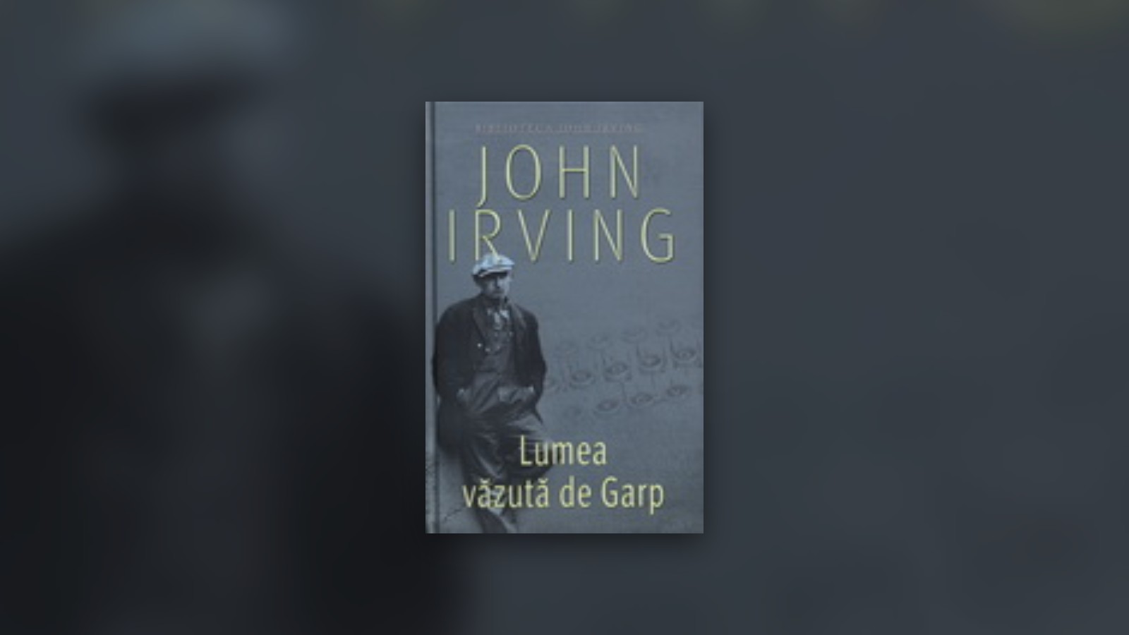 Lumea vazuta de Garp, o lume neortodoxa, dominata de teama si de pofte trupesti