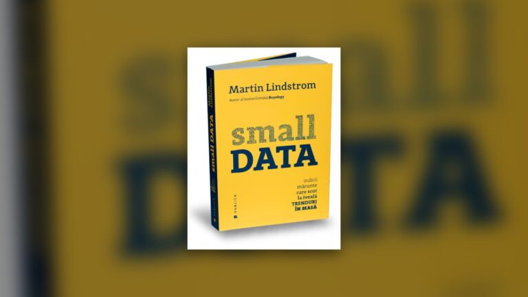 Lucruri mărunte cu efecte mari (small data)